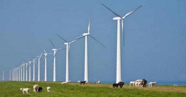 PLN Kolaborasi dengan Powerchina untuk Kaji Potensi Energi Angin di Indonesia 